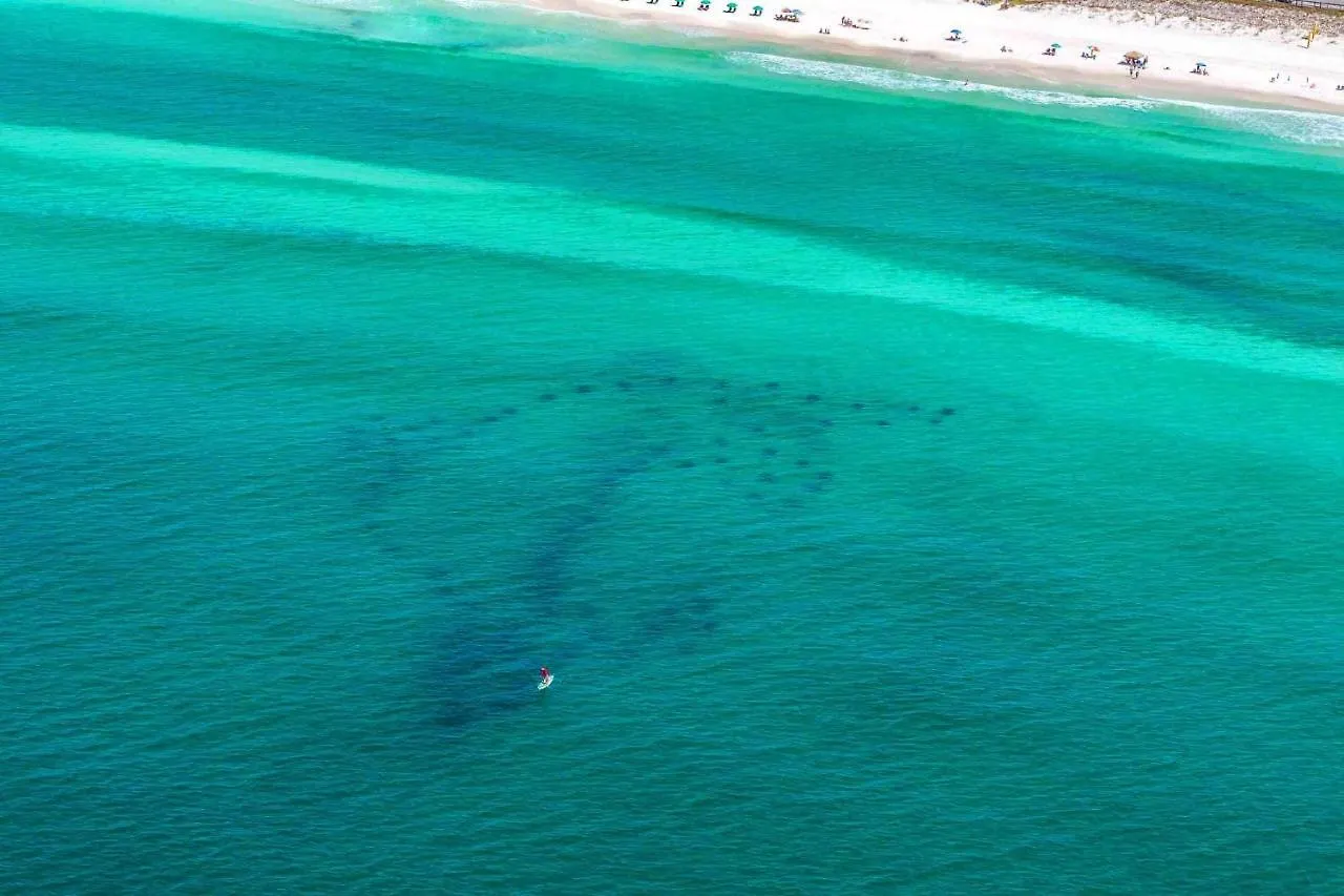 Apartman Surfside Resort #1409 Destin